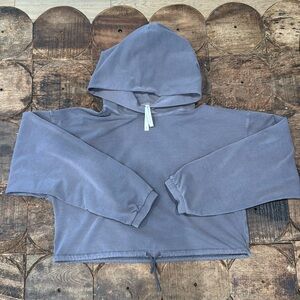 Babaton cropped hoodie with drawstring waist